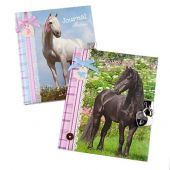 Journal intime chevaux